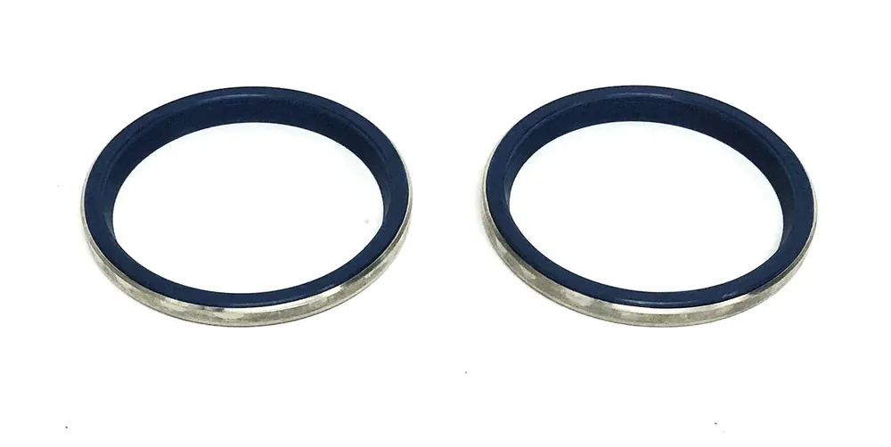IMA AISI1304 Dust Scraper Wiper Seal SAF55/B [Lot of 2] NOS