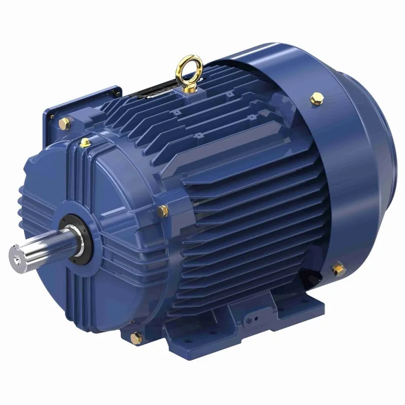 3HP 3PH 213T 6P TEFC 1185 230/460V WB