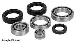 Arctic Cat 700 EFI 4x4 ATV Rear Differential Bearing Kit 2007-2010
