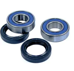 Honda TRX125 ATV Rear Wheel Bearing Kit 1985-1986
