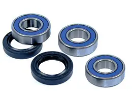 Honda TRX250 Recon ATV Rear Wheel Bearing Kit 1997-2001