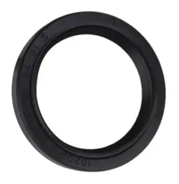 24X31X5TC Metric Oil Seal