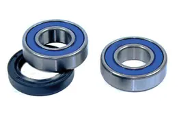 Suzuki LT-250E Quadrunner ATV Front Wheel Bearing Kit 1985-1986