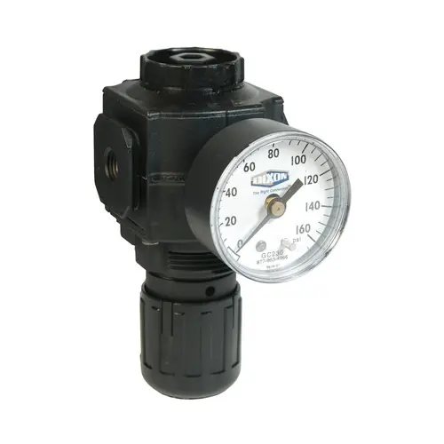 Dixon Series 1 R73 3/8 in. Compact Regulator With Gauge