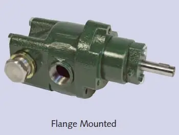 Roper Series A 18AM02 Petroleum Transfer Gear Pump - 3/8 in. Ports