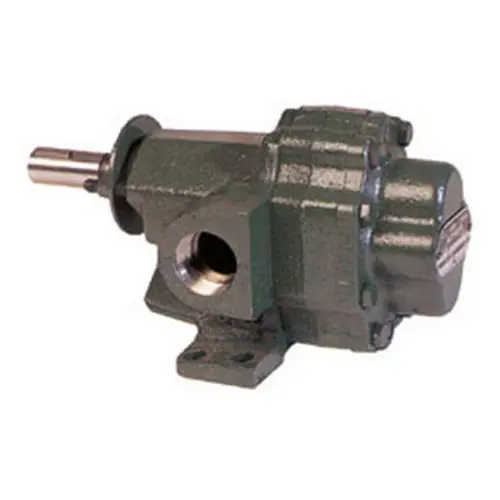 Roper Series A 2AM16 Petroleum Transfer Gear Pump - 1 1/4 in. Ports