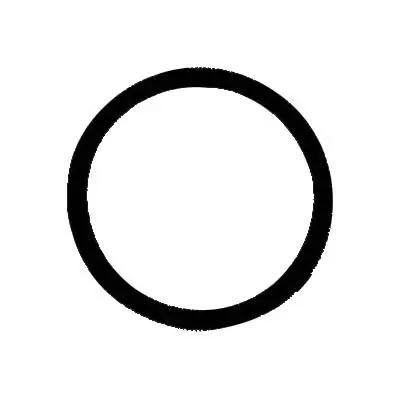 O-Ring - FKM