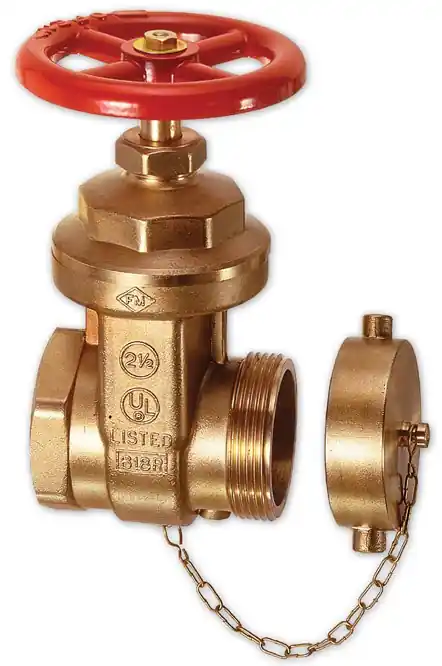 Dixon 2 1/2 in. NPT x 2 1/2 in. NH(NST) Wedge Disc Gate Valve Non-Rising Stem