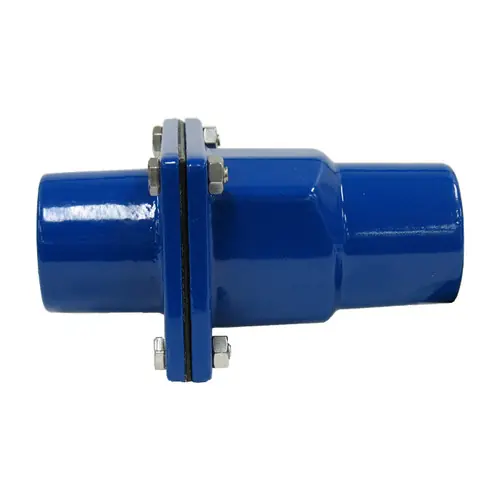 Bosworth CV-2600A Sea-Lect 2 in. Aluminum Foot/Check Valve