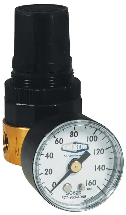 Dixon Wilkerson 1/4 in. RB3 Miniature Water Regulator With Gauge