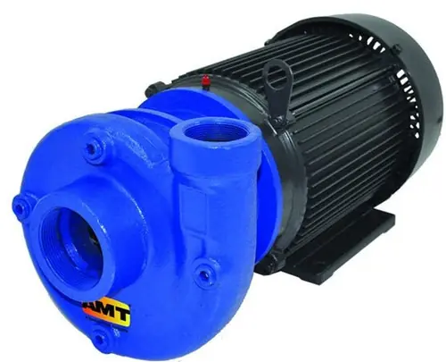 AMT 315295 Heavy Duty Cast Iron Straight Centrifugal Pump