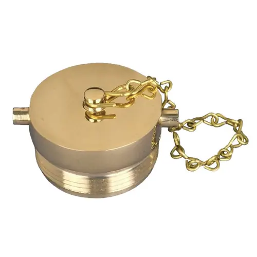 1 1/2 in. NPSH Dixon Brass Plug & Chain - Pin Lug