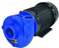 AMT 315095 Heavy Duty Cast Iron Straight Centrifugal Pump
