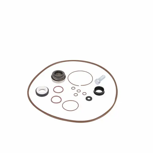 Banjo 3 in. Poly Pump Pump Seal Kit - FKM