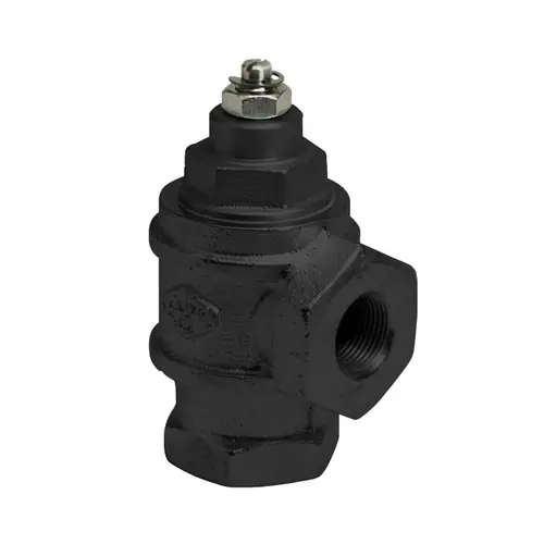 Franklin Fueling Systems 3/4 in. NPT Anti-Siphon Valve for Above Ground Tank