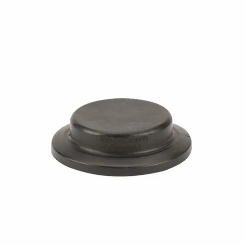 Banjo Solid Poly 2 in. Full Port Flange Plug