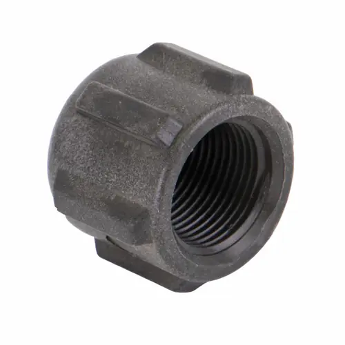 Banjo 3/4 in. Poly Pipe Cap - Sch. 80