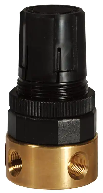 Dixon Wilkerson 1/8 in. RB3 Miniature Water Regulator Without Gauge