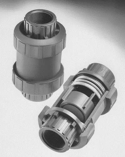 Plast-O-Matic Series CKS 2 in. Self Closing Poly Check Valves w/ FKM Seals