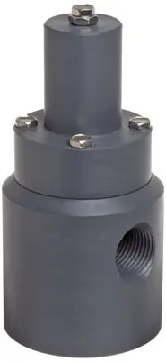 Plast-O-Matic Series RVD 1/2 in. PVC Angle Pattern Relief Valves w/ FKM Seals