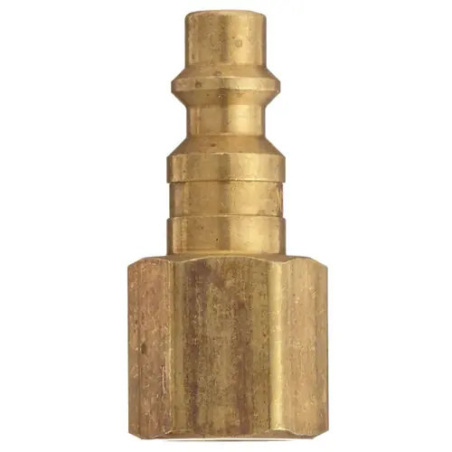 Dixon Air Chief Industrial Brass Female Threaded Plug 1/4 in. Female NPT x 1/4 in. Body