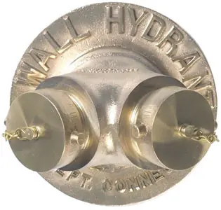 Dixon 6 in. Female NPT x 2 1/2 in. Male NH (NST) Exposed Two Way Wall Hydrant