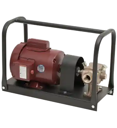 Decko 90000 1/2 HP 110V AC Bronze BP21X Bulldog Pump - 28 GPM