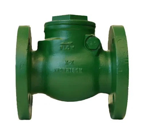 Morrison Bros. 246DRF 3 in. Flanged Swing Check Valve