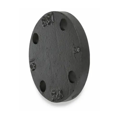 Smith Cooper 125# Cast Iron Black Blind Flange