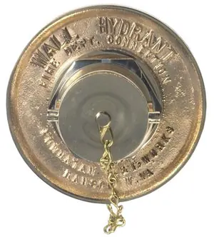 Dixon 2 1/2 in. Female NPT x 2 1/2 in. Male NH (NST) Single Hydrant Connections