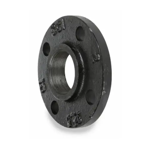 Smith Cooper 125# Ductile Iron Black Threaded Companion Flange