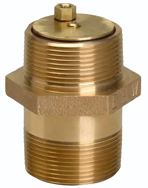 Franklin Fueling Systems 2 in. NPT Under Pump In-Line Check Valves