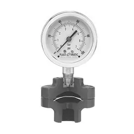 Plast-O-Matic Series GGS 1/4 in. x 1/2 in. NPT Poly Gauge Guard with 2 1/2 in. Face SS Pressure Gauge - 0-60 PSI