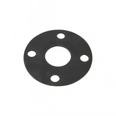 Banjo ANSI Flange FKM Type Gaskets