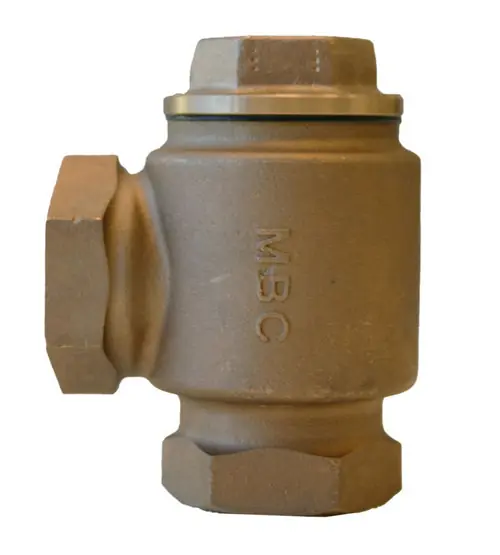 Morrison Bros. 137B 2 in. Back Pressure Check Valve