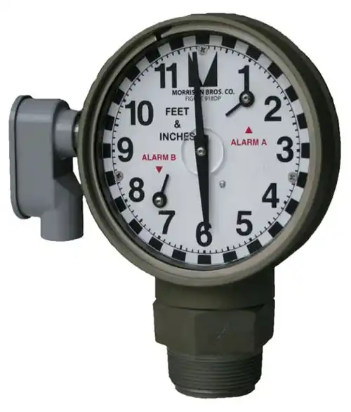 Morrison Bros. 2 in. Male NPT 918DP Dual Point Clock Gauge w/ Standard Float