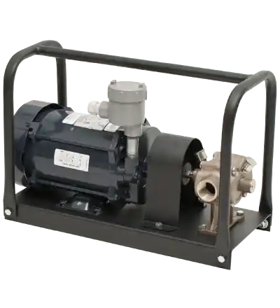 Decko 90100 BP21X 110/220V AC Explosion-Proof Bulldog Pump - 28 GPM