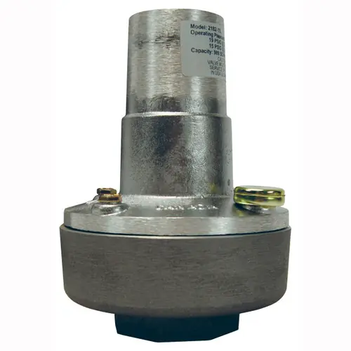 Dixon 2 in. NPTF Air Relief Valve 20 PSI Setting