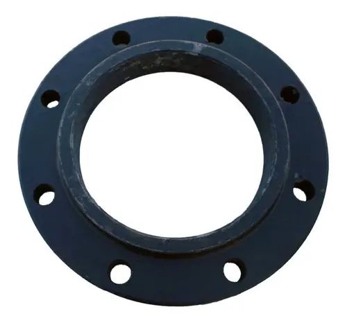 Morrison Bros. 244C Series 150# Cast Iron Raised Face Companion Flange