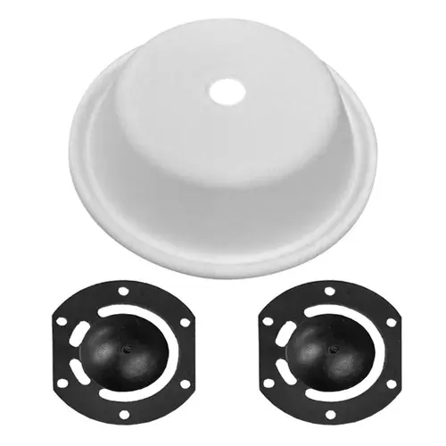 Bosworth G500SK Nitrile Rubber/Silicone Service Kit for Guzzler 0500 and 3500 Series Pumps