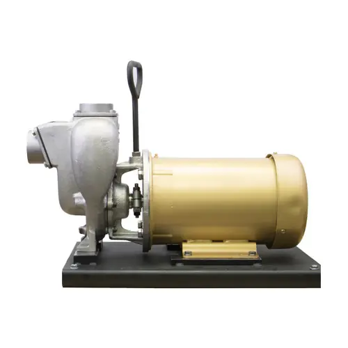 Banjo 2 in. Stainless Steel Centrifugal Pump w/ Three Phase 5 HP 230V Electric Motor