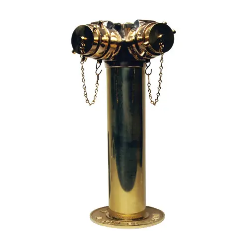 Dixon Polished Brass Two Way Sidewalk Siamese Assembly