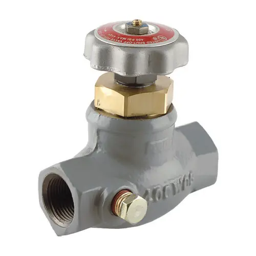 Emerson Fisher Type N350 1/2 in. FNPT Economy Globe Valve
