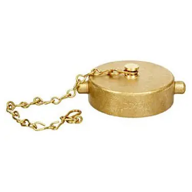 Dixon 2 1/2 in. Cast Brass Pin Lug Cap & Chain NST(NH)