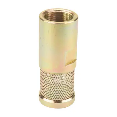 Liquidynamics 1 in. NPT Foot Valve