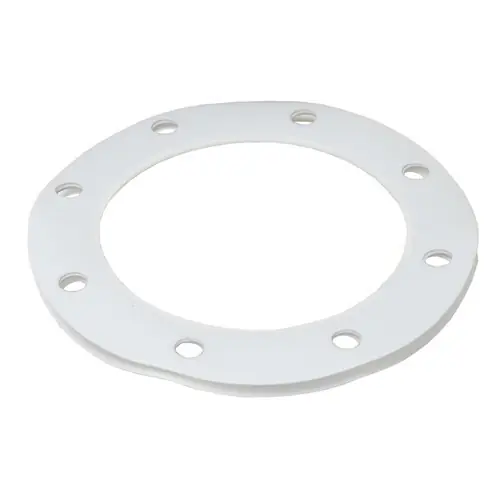 Dixon 3 in. x 1/4 in. Thick PTFE TTMA Full Face Flange Gasket