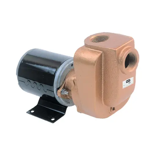 AMT 4851-97 3/4 in. Bronze Self Priming Centrifugal Pump