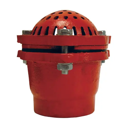 Dixon Cast Iron Threaded Foot Valve