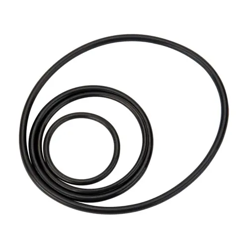 GPI 133504-1 Seal Kit for PRO35-115RD Pumps, Item C; 3, 16, 17, 20