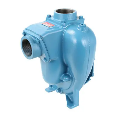 MP Pumps 36585 FLOMAX® 8 PumPAK® 2 in. x 2 in. Cast Iron Self Priming Centrifugal Pump, 5 Blade